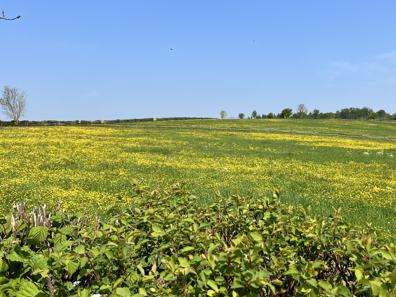 22-05-02 11-46-05 0709